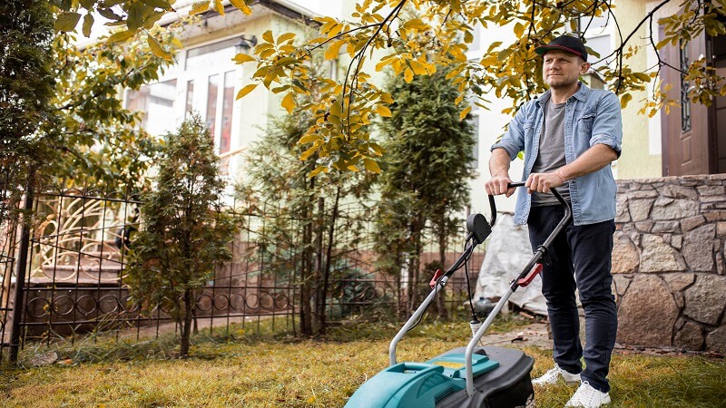 Why Is Professional Lawn Care Important in Chapel Hill?