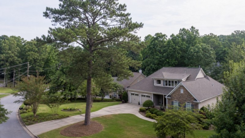 Fayetteville GA tree care